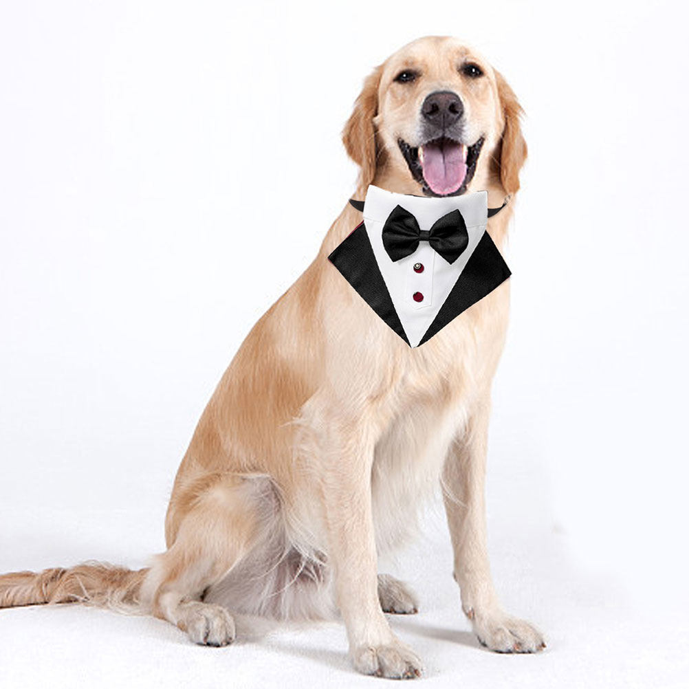 1 Takım Köpek Kostümü ve Banda - Suit Supply Wedding Party incelemesi ve fiyatı