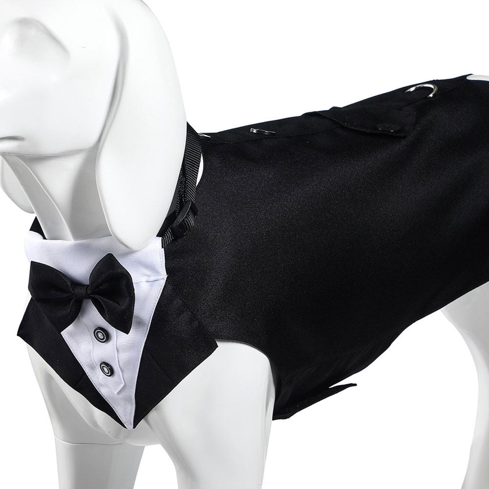 1 Takım Köpek Kostümü ve Banda - Suit Supply Wedding Party incelemesi ve fiyatı